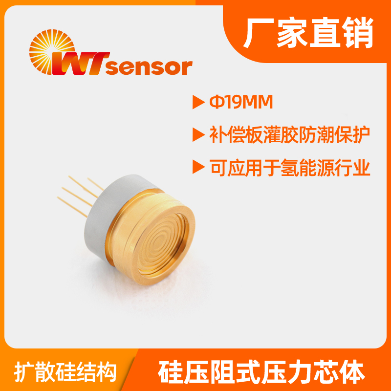 PCM10 (Φ19×14mm)数字型压力芯体